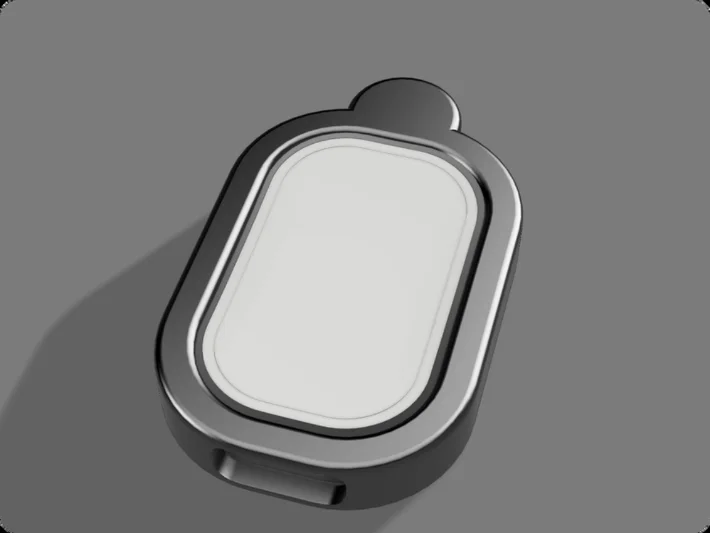 Roam neck pendant carrier with a brushed stainless bezel
